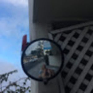 Meet your Posher, Ella